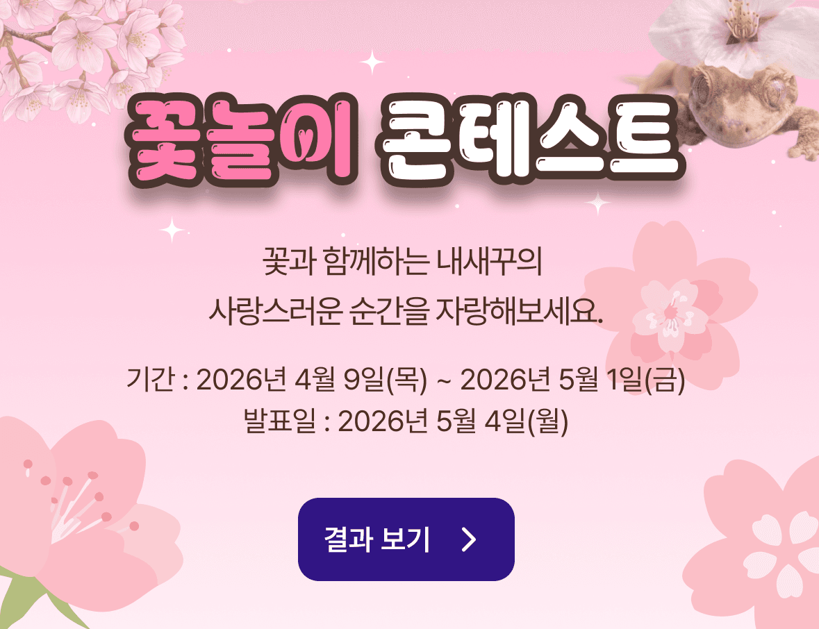 콘테스트 배너