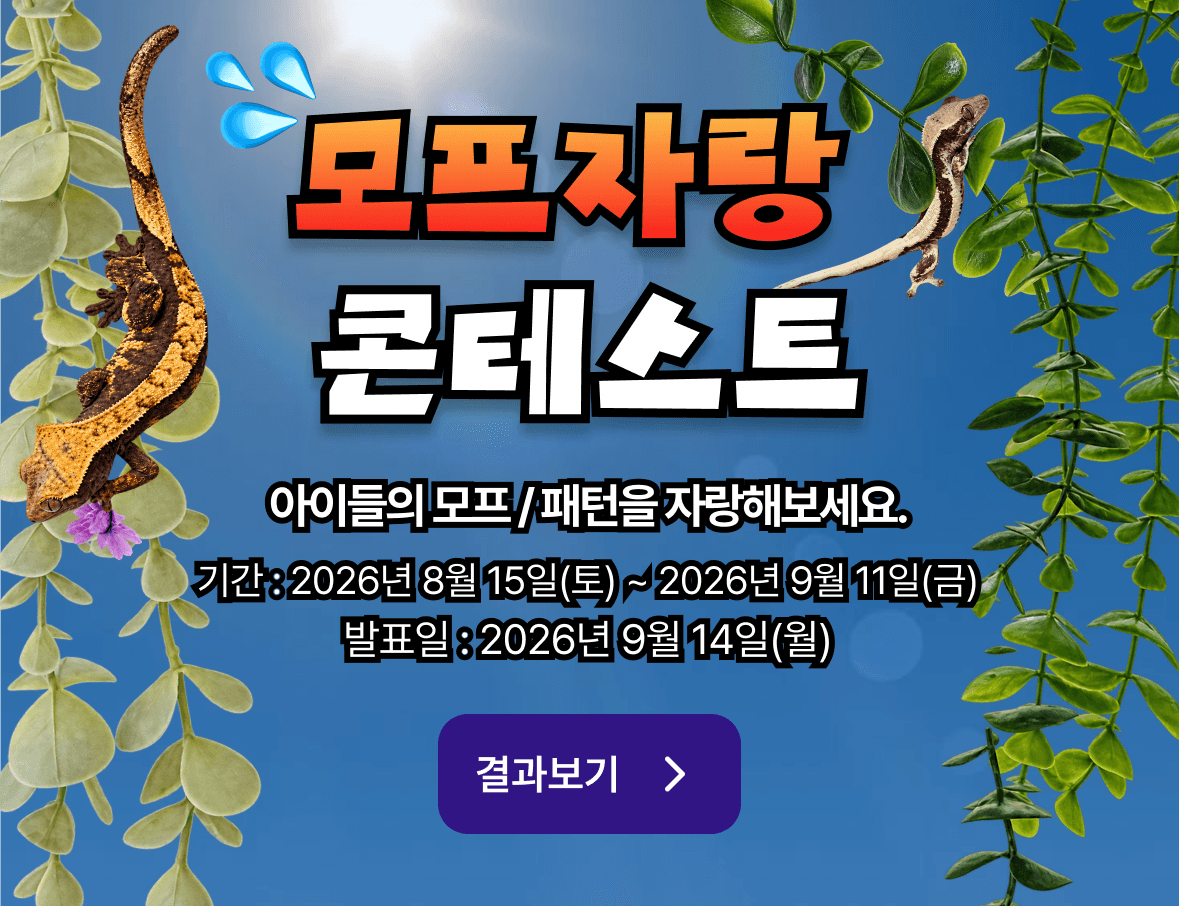 콘테스트 배너