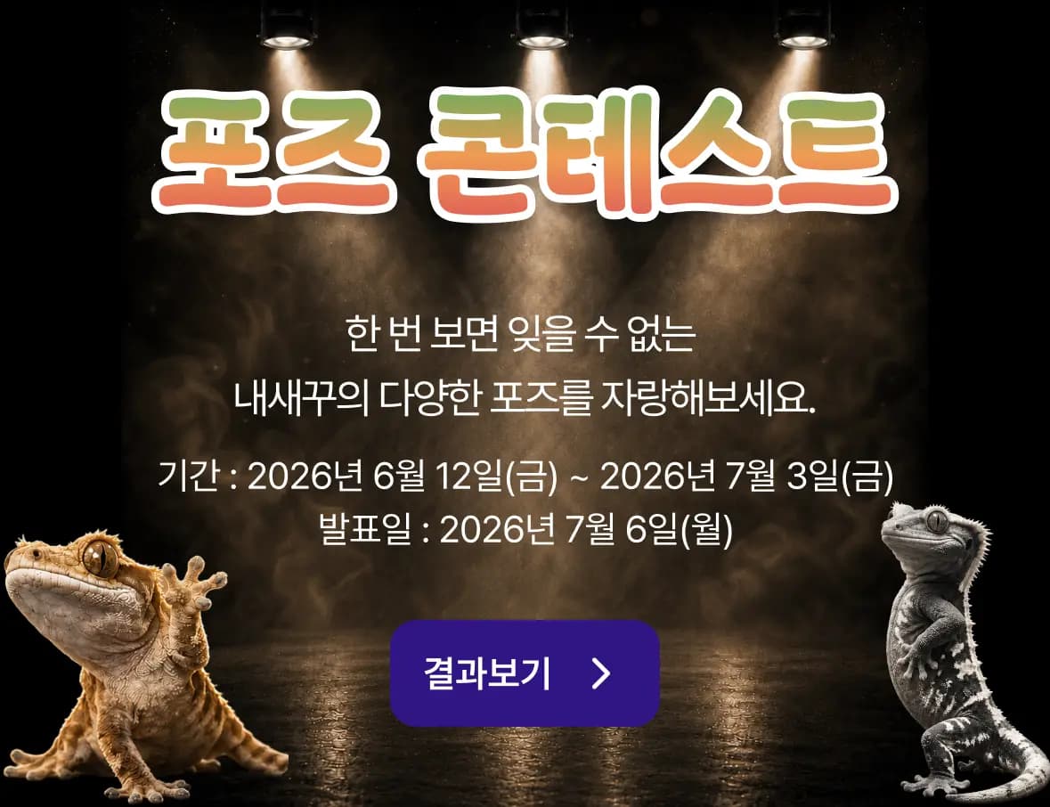 콘테스트 배너