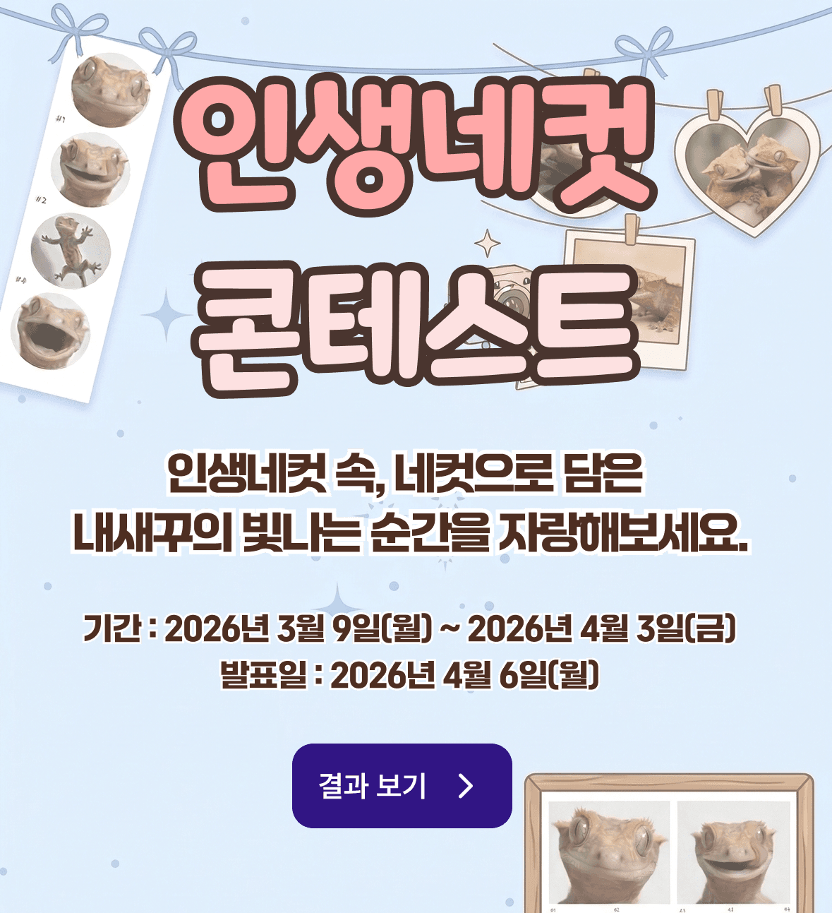 콘테스트 배너