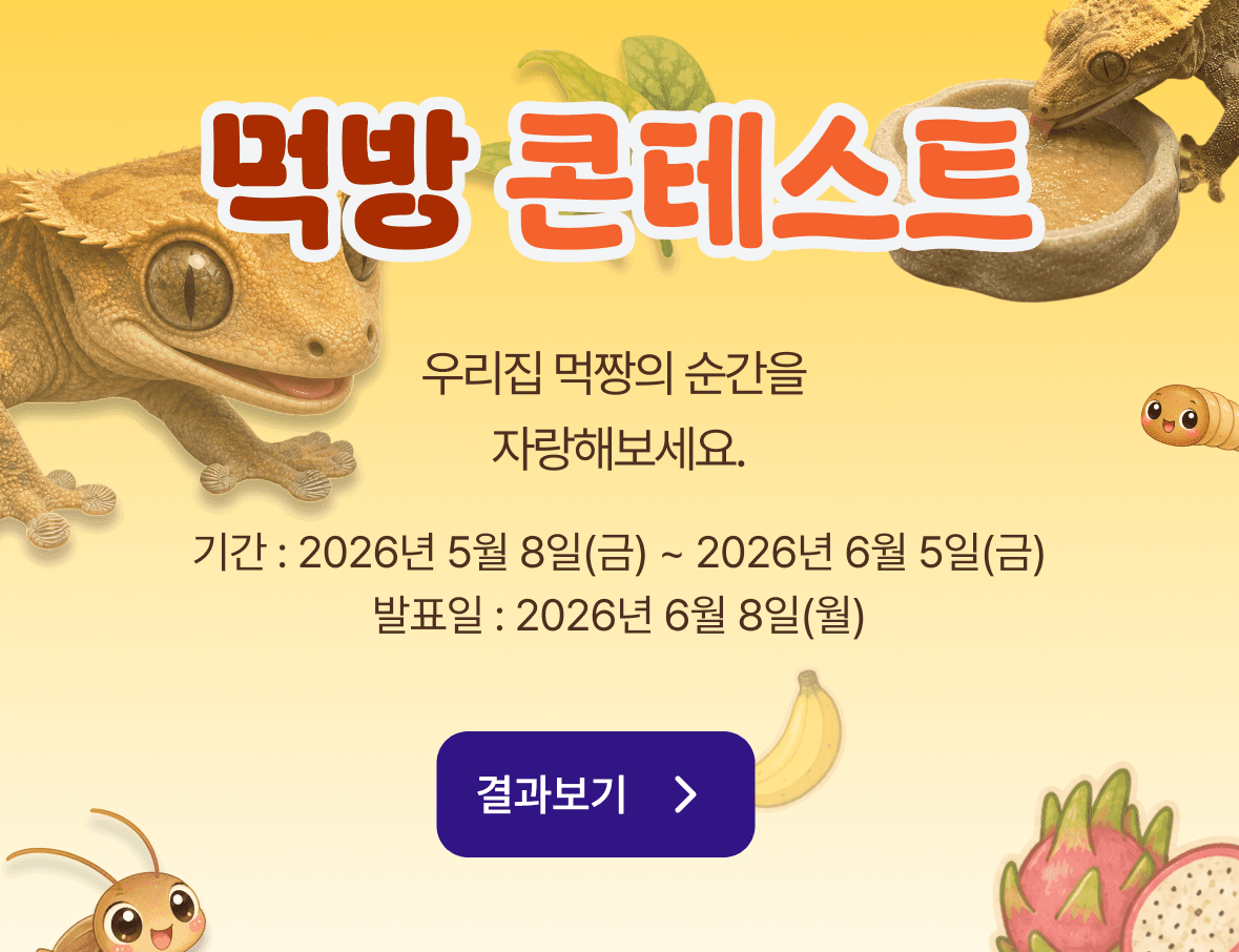 콘테스트 배너