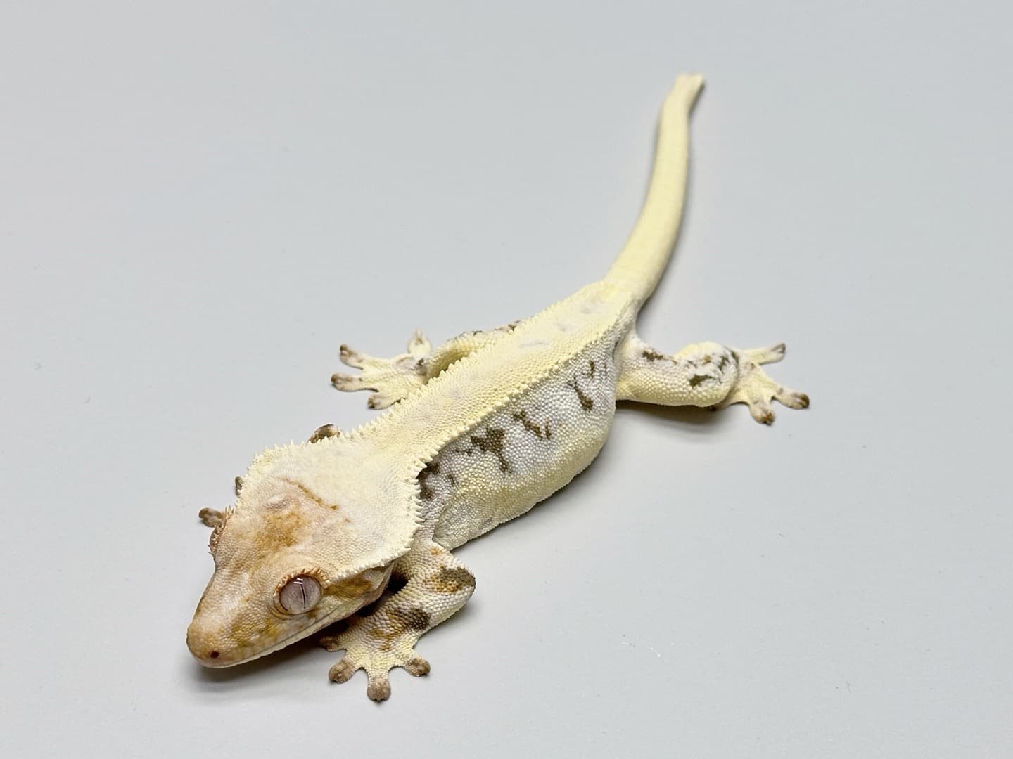 상품 이미지 2