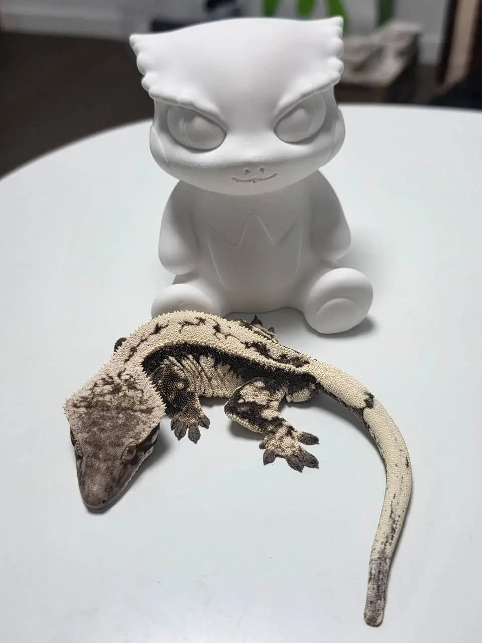 부 개체
