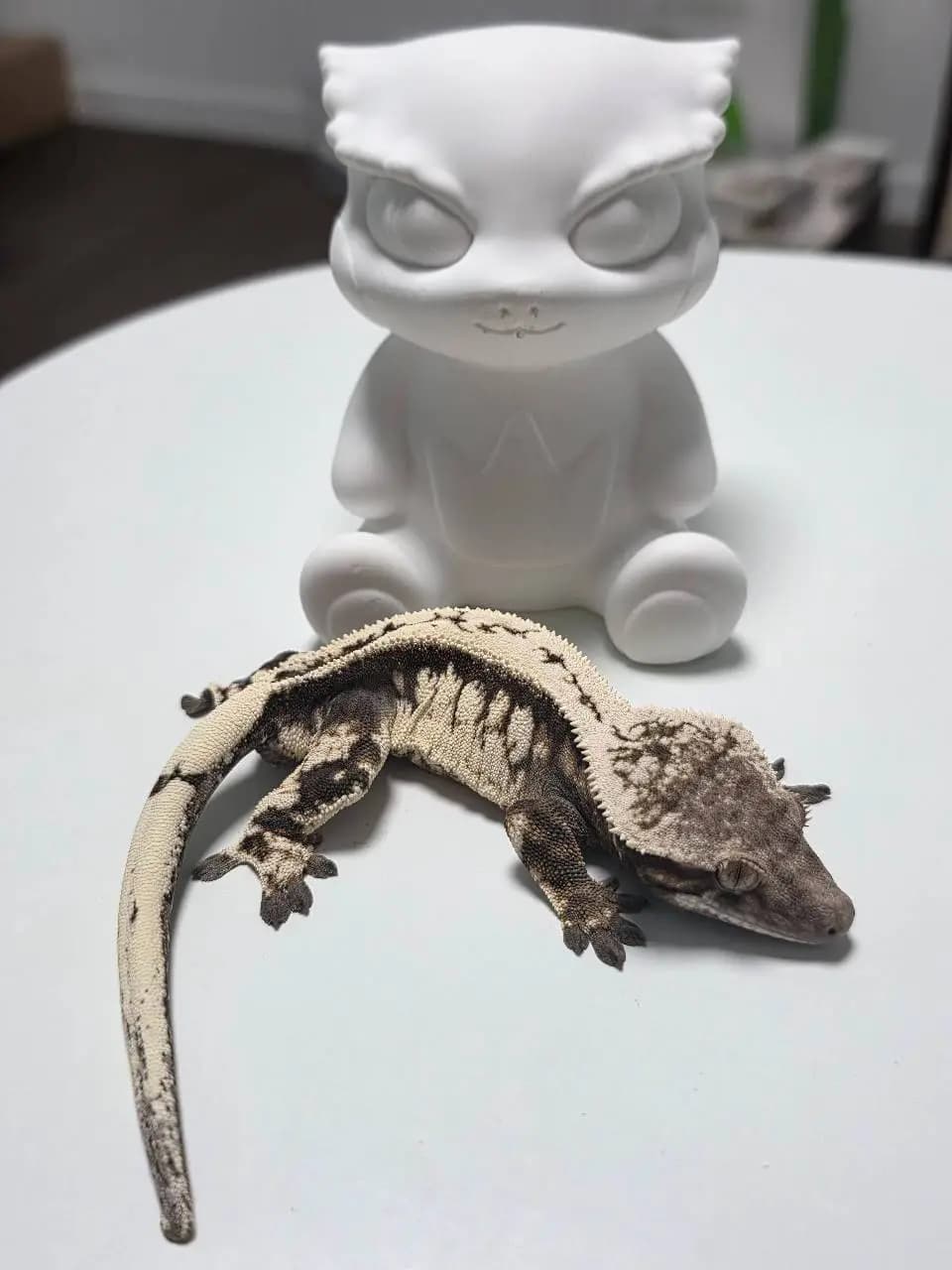 부 개체