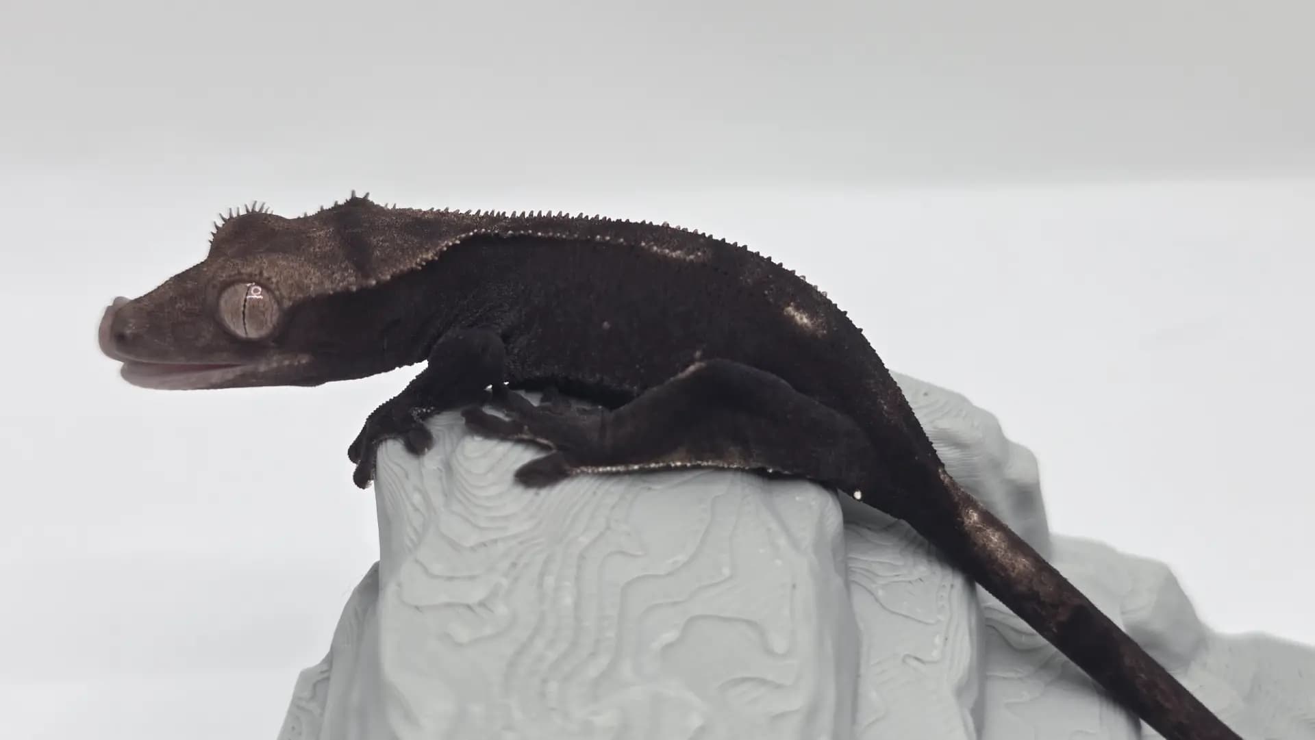 상품 이미지 1
