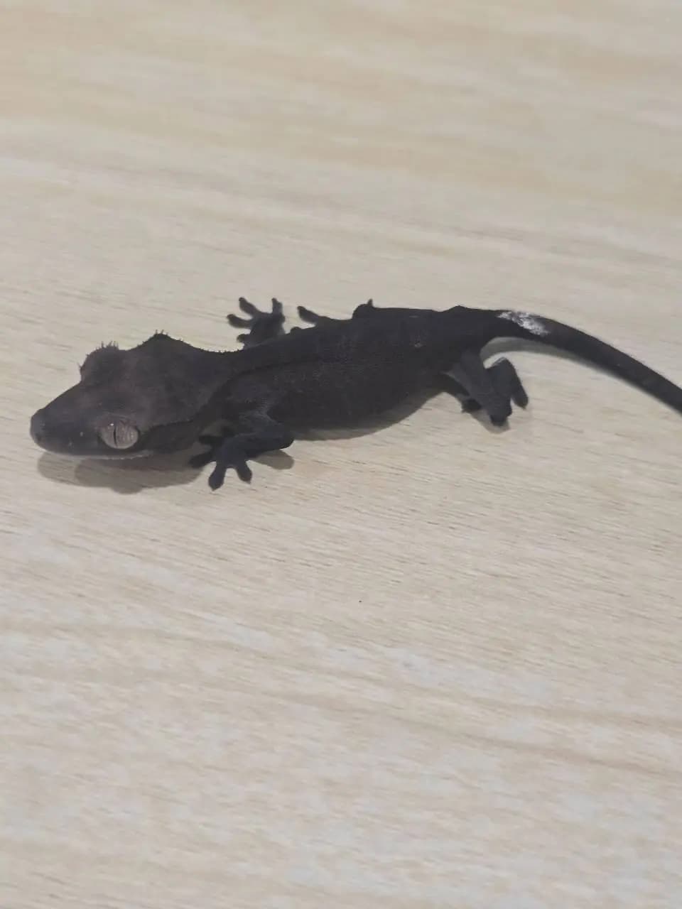 상품 이미지 1