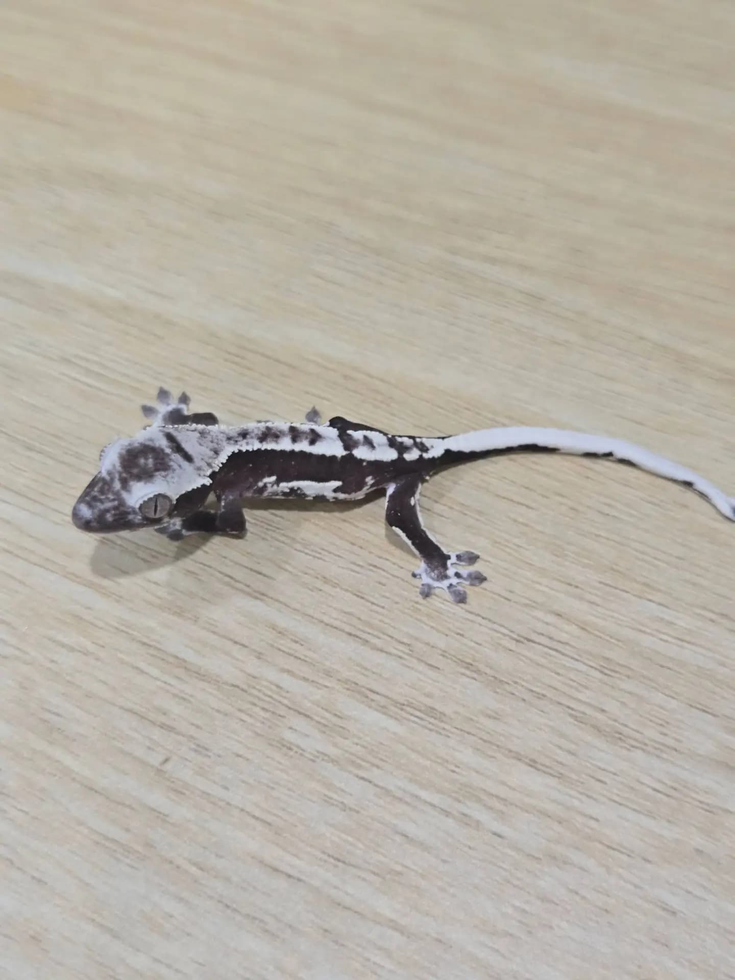 상품 이미지 1