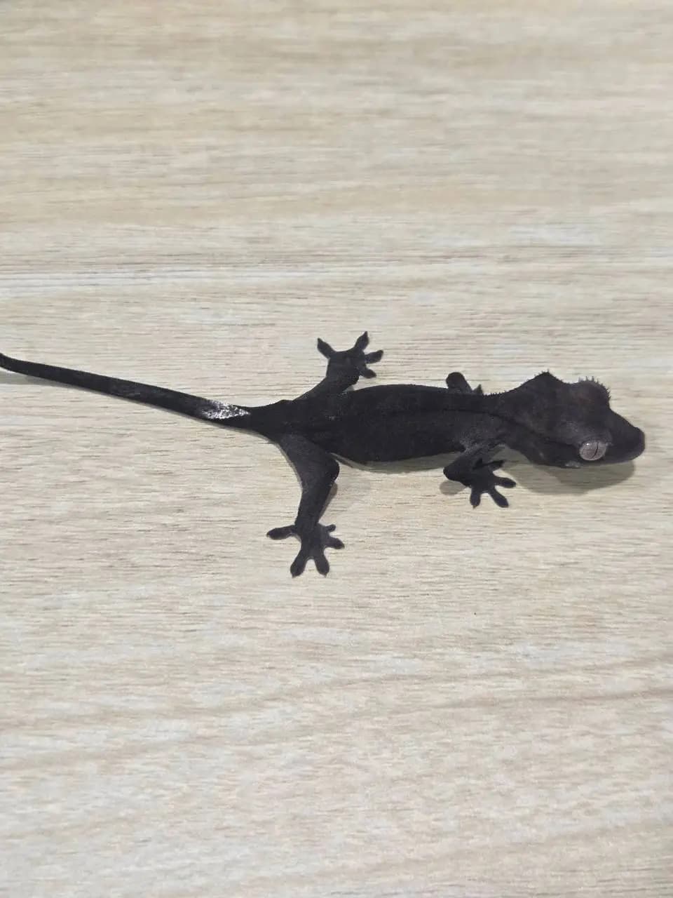상품 이미지 3