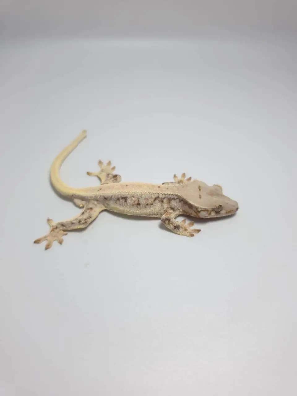 상품 이미지 1