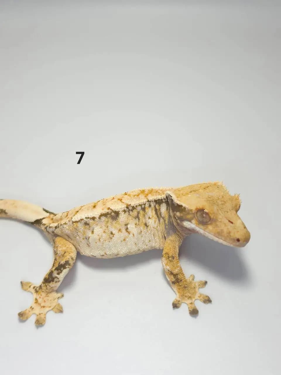상품 이미지 2