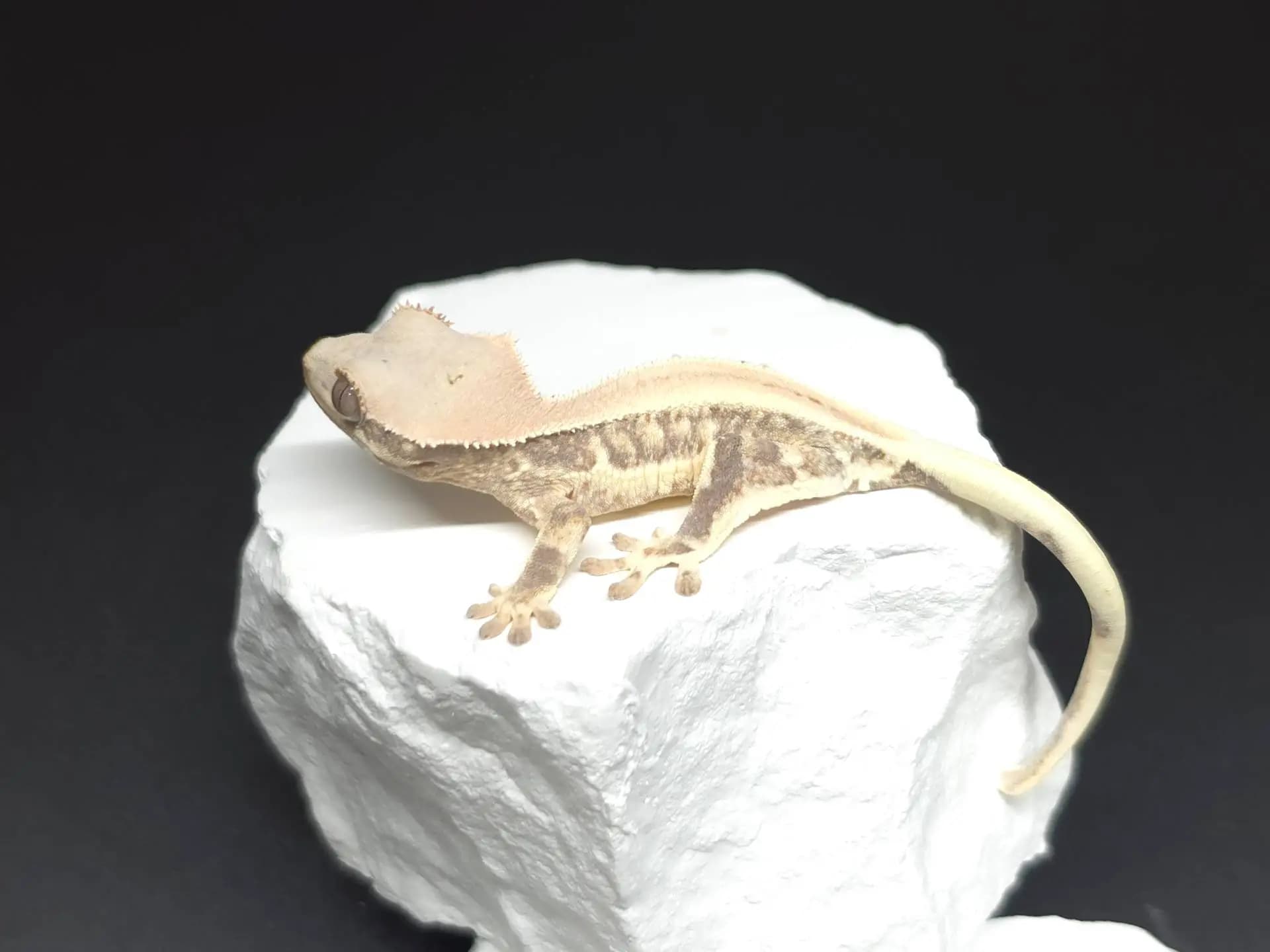 상품 이미지 3