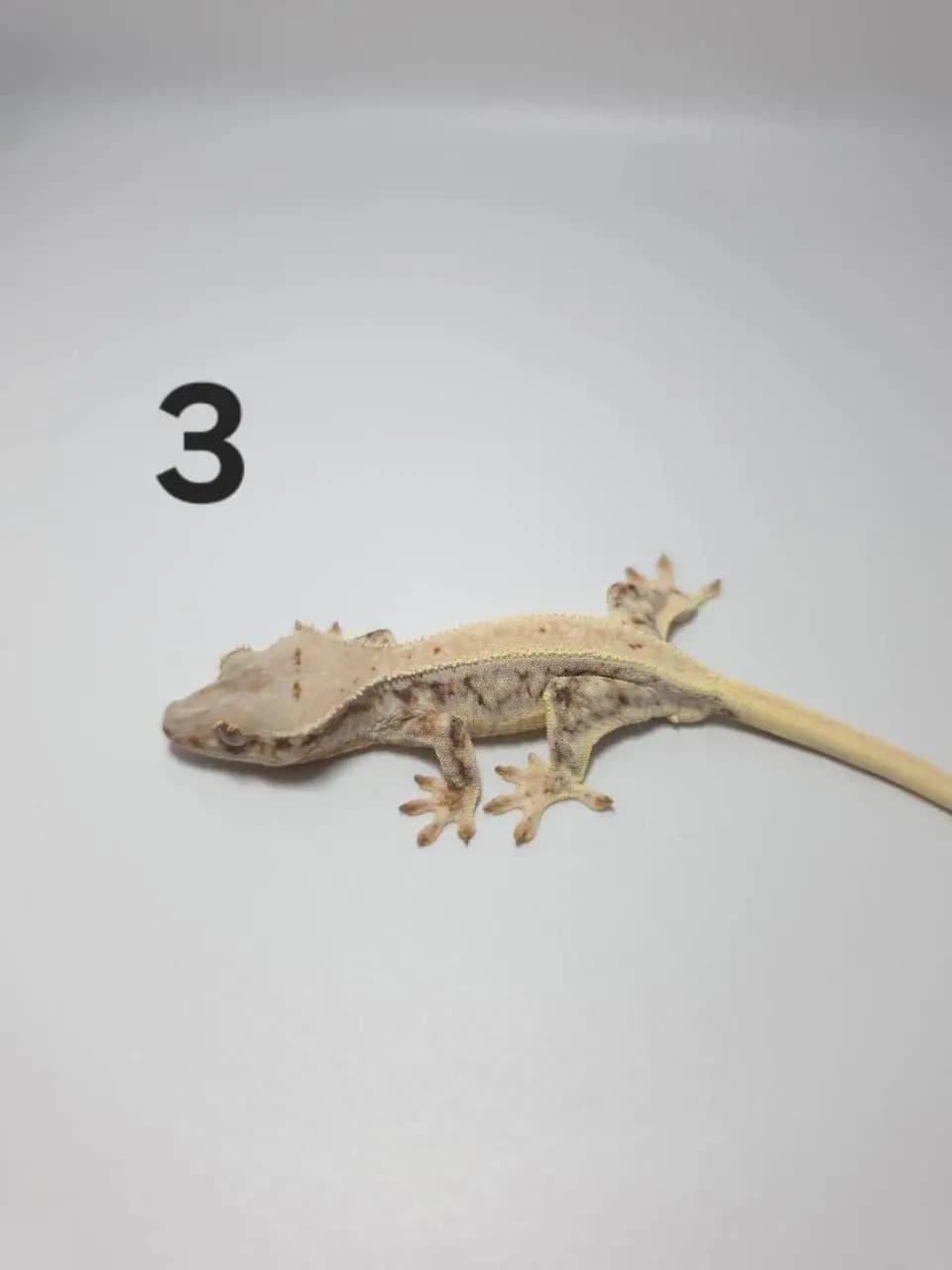 상품 이미지 2