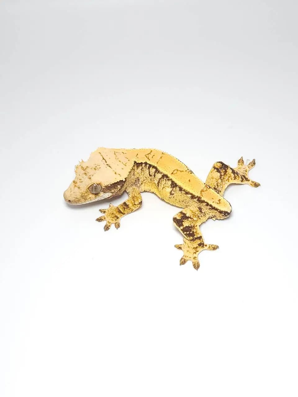 상품 이미지 1