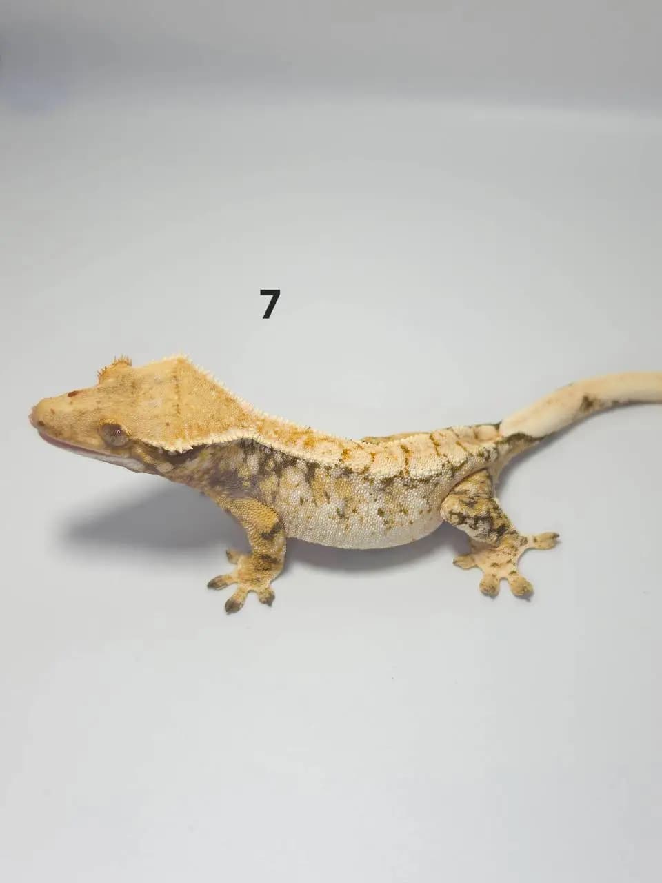 상품 이미지 1