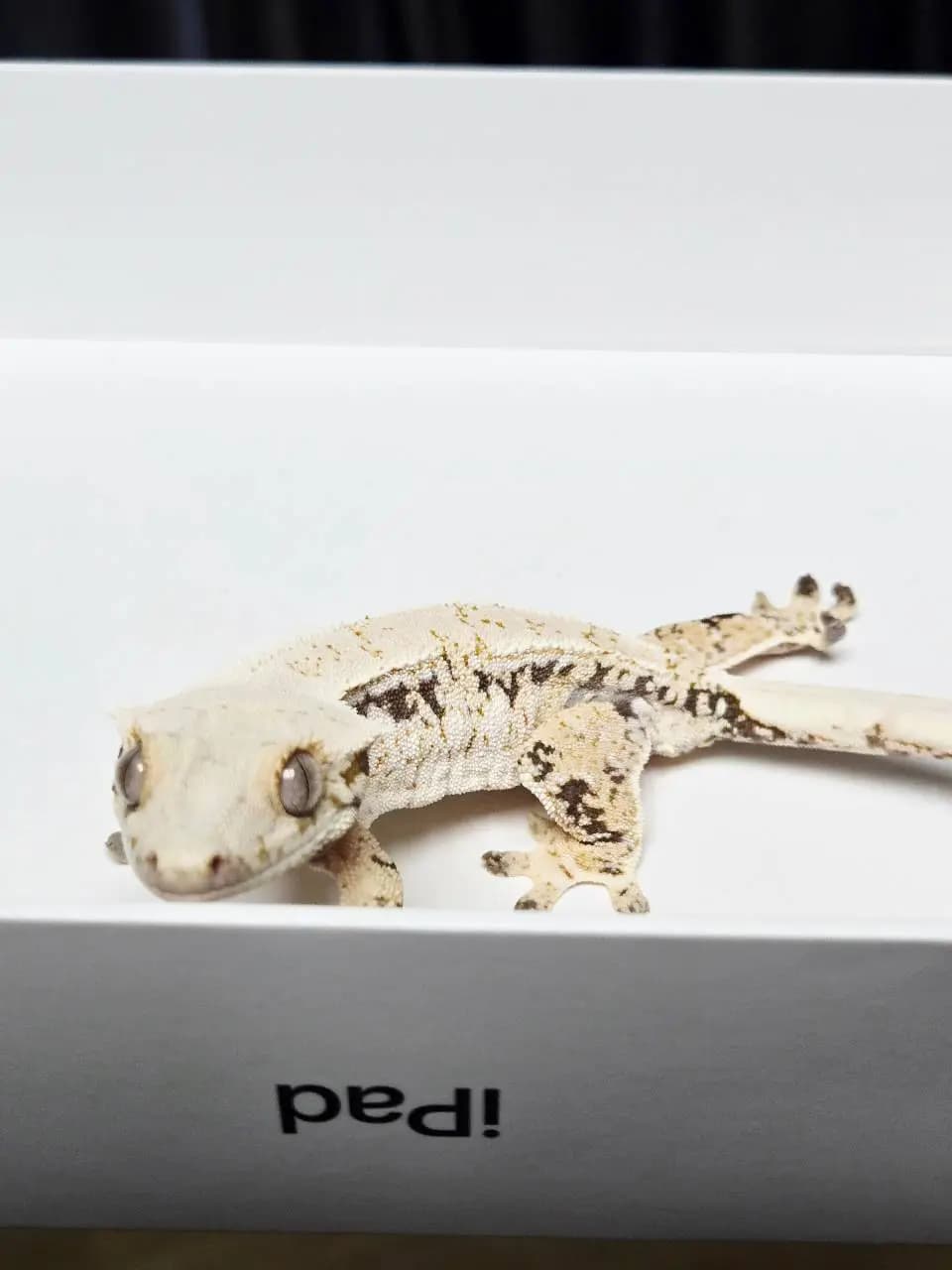 상품 이미지 1