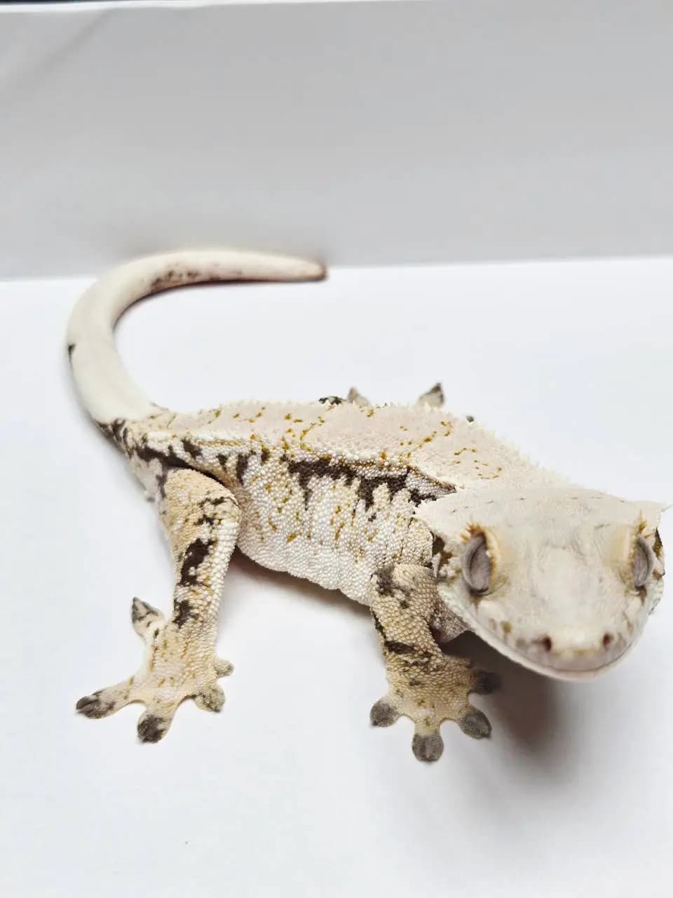 상품 이미지 3