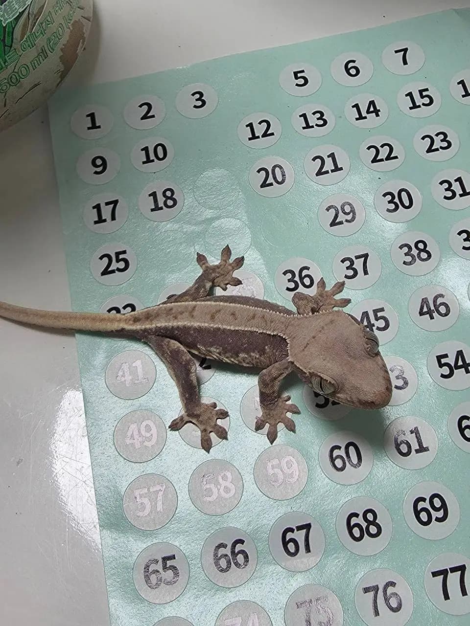상품 이미지 2