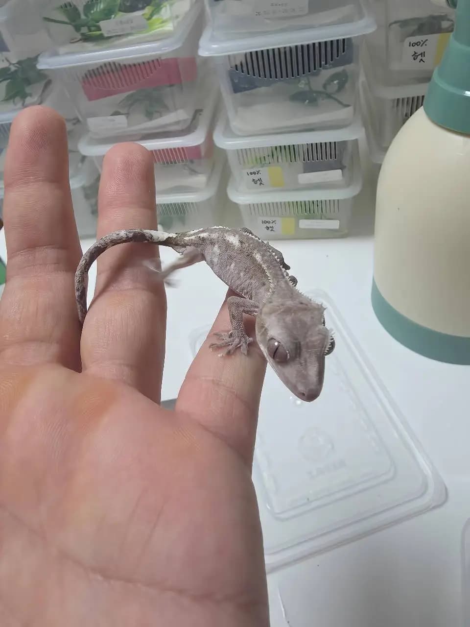 상품 이미지 3