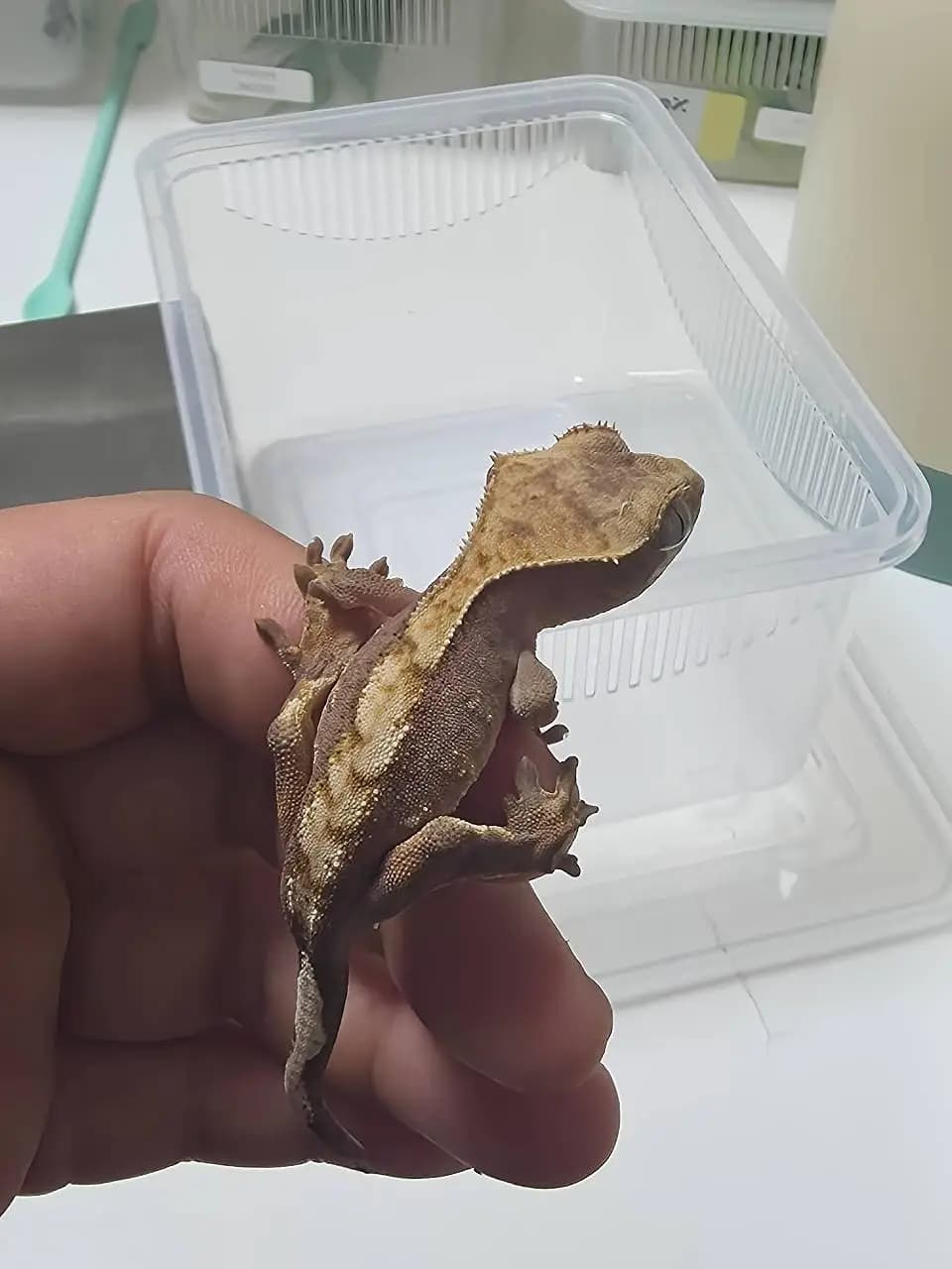 상품 이미지 3