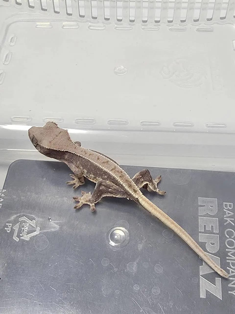 상품 이미지 3