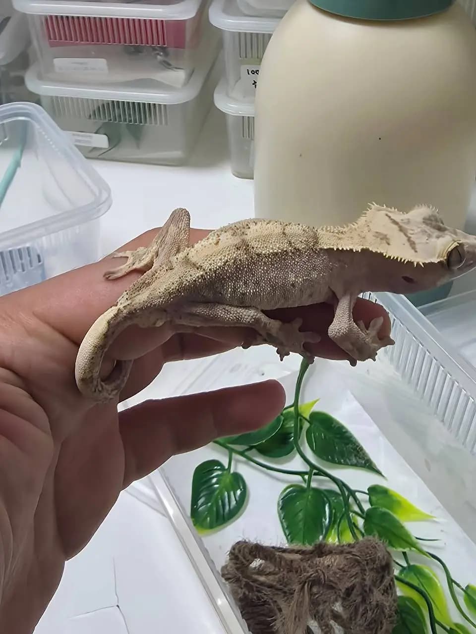 상품 이미지 3