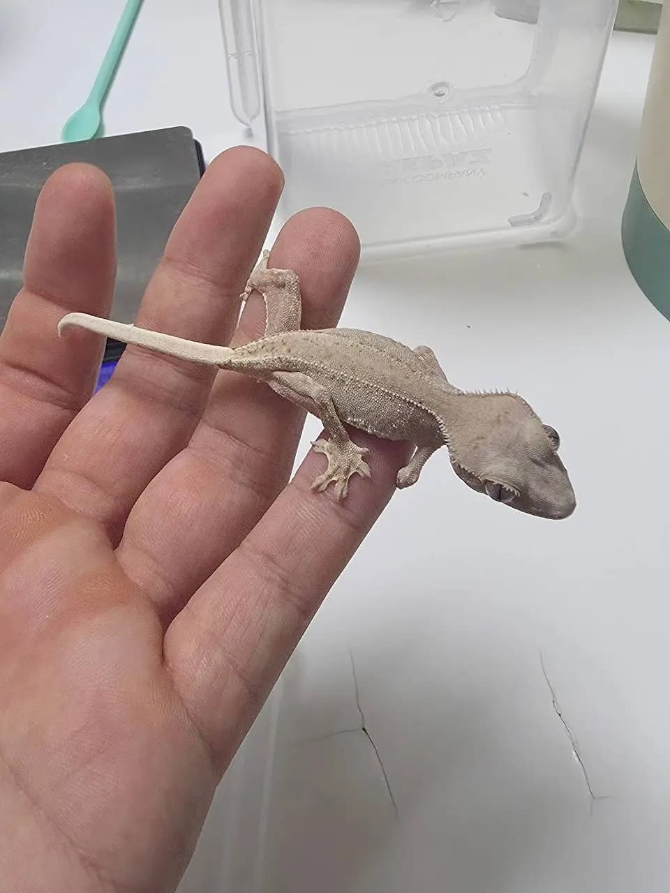 상품 이미지 2