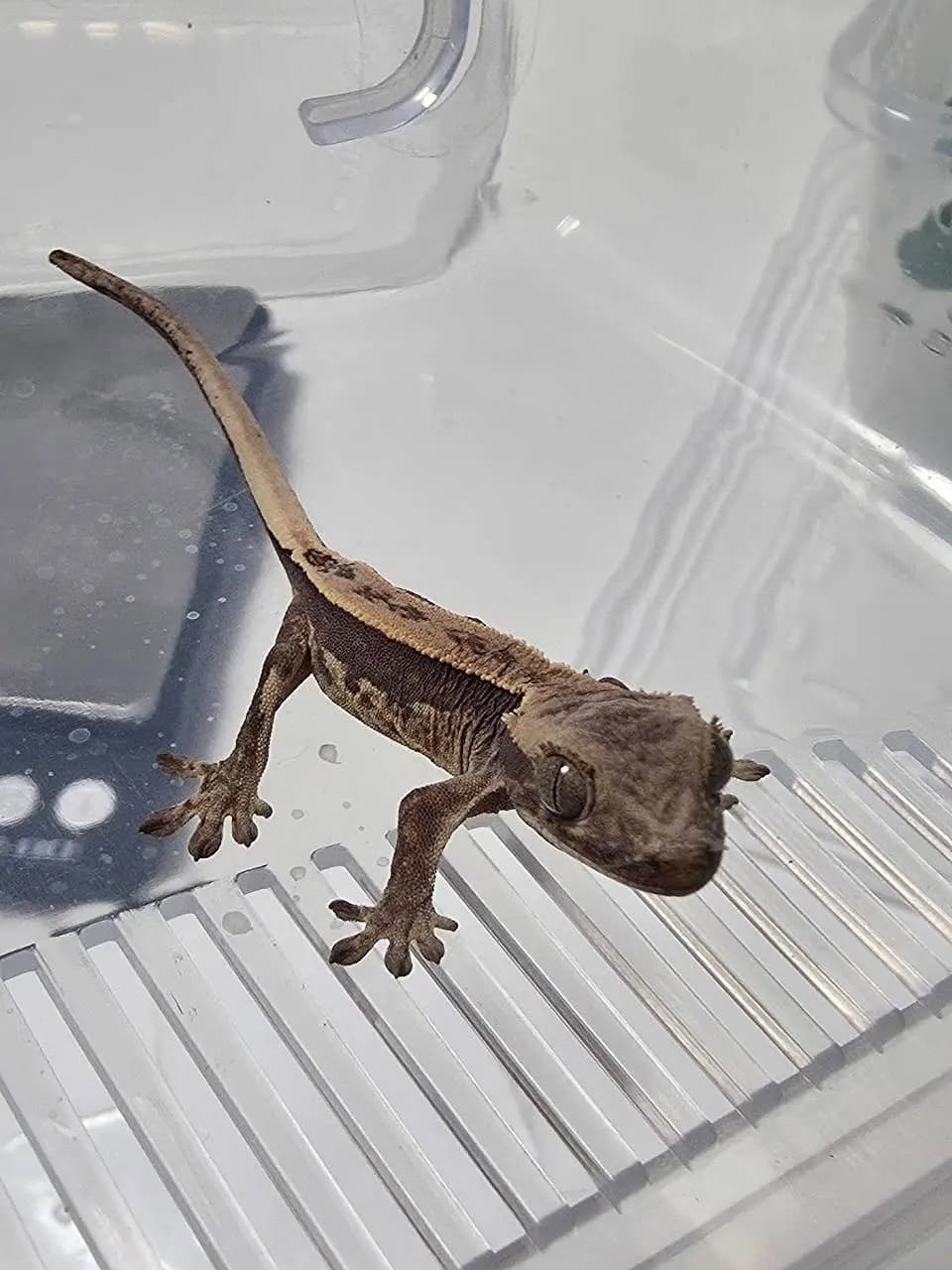 상품 이미지 2