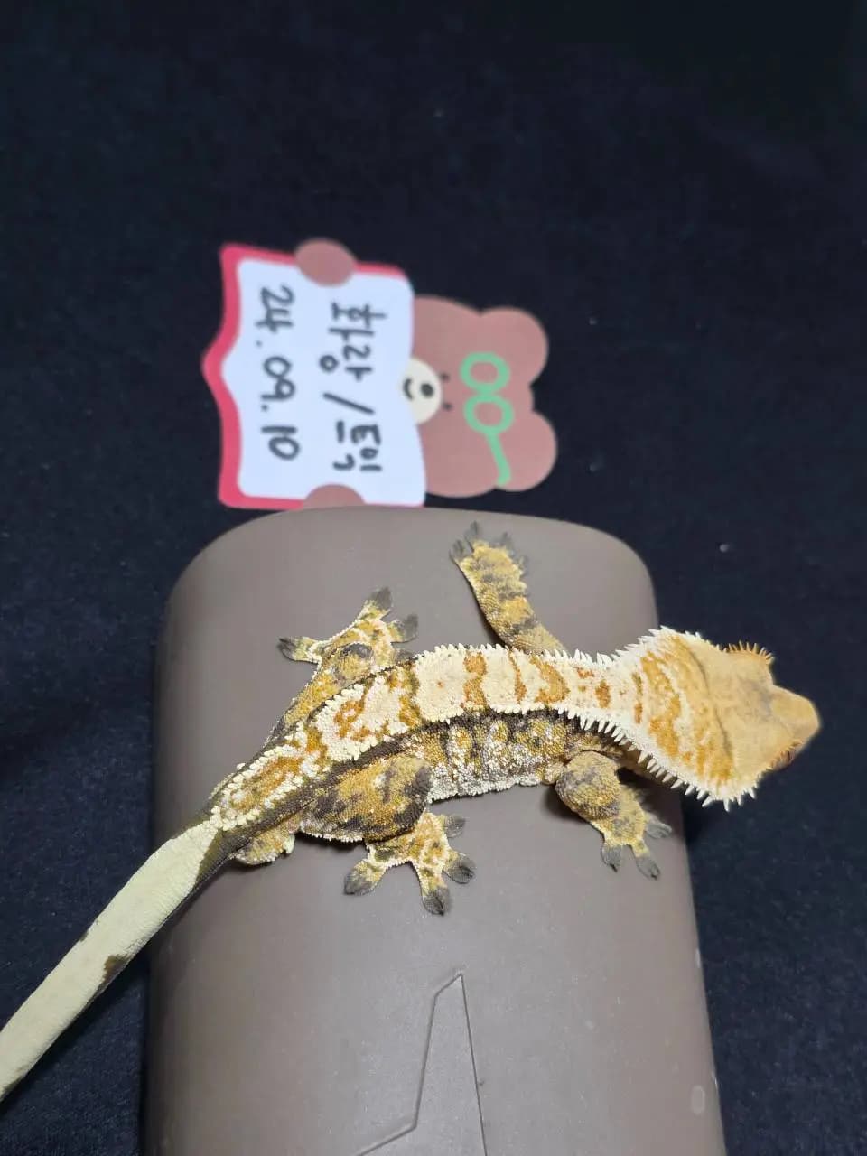 상품 이미지 3