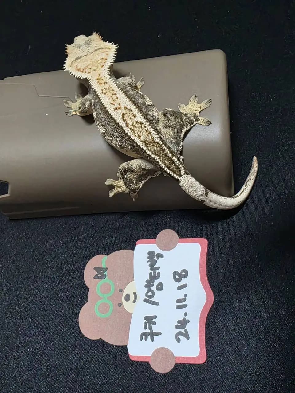 상품 이미지 3