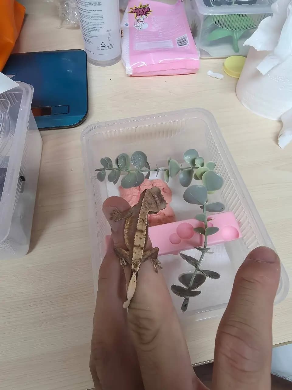 상품 이미지 5