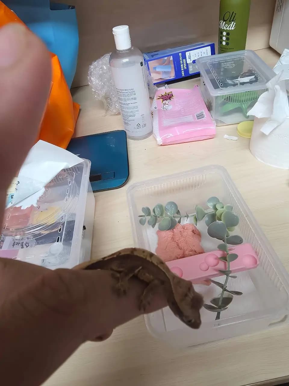 상품 이미지 3