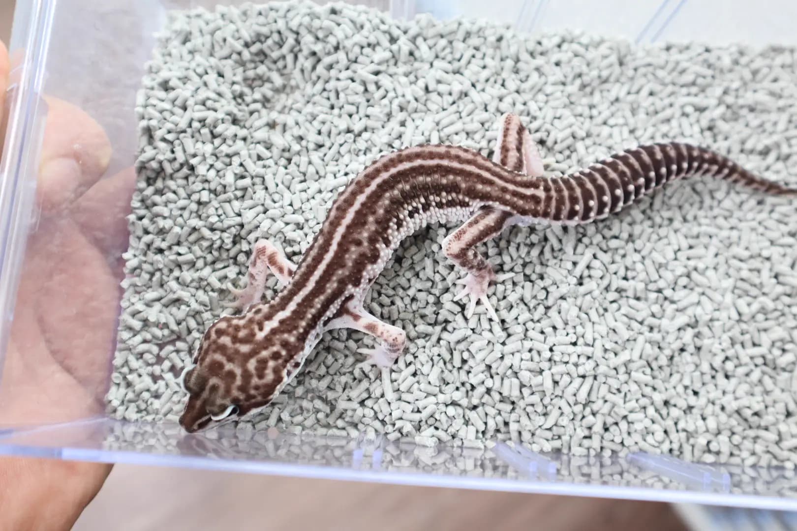 상품 이미지 1