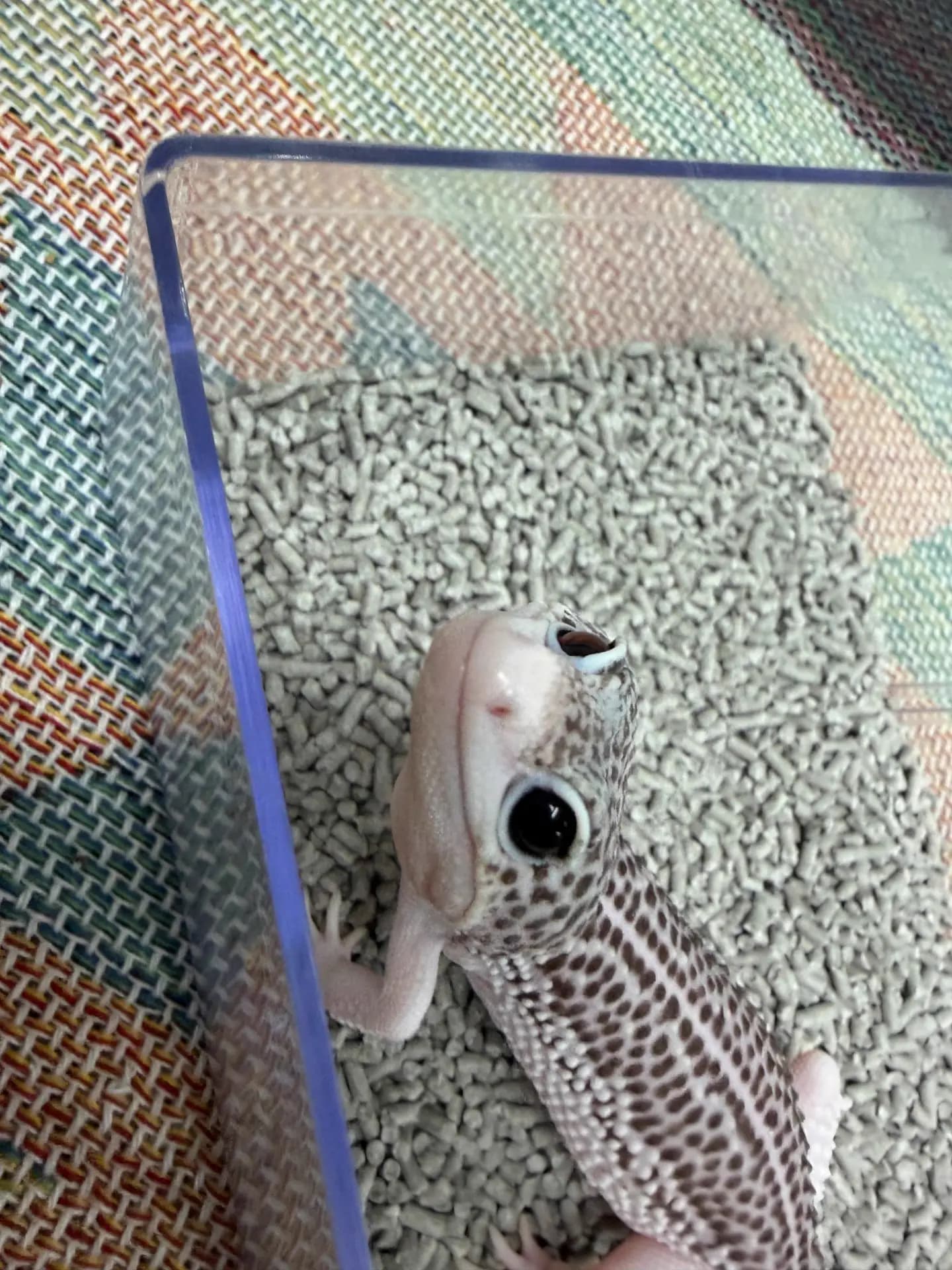 상품 이미지 2
