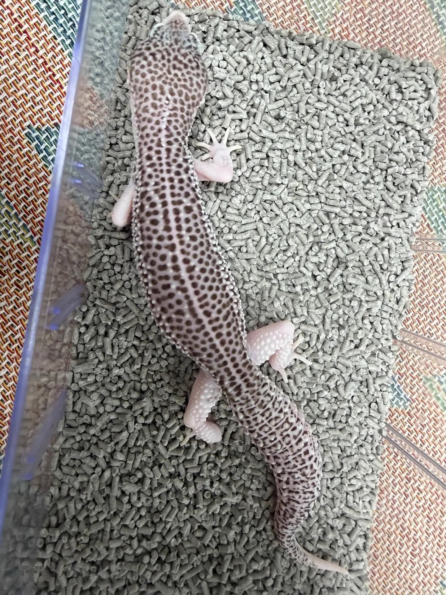 상품 이미지 1