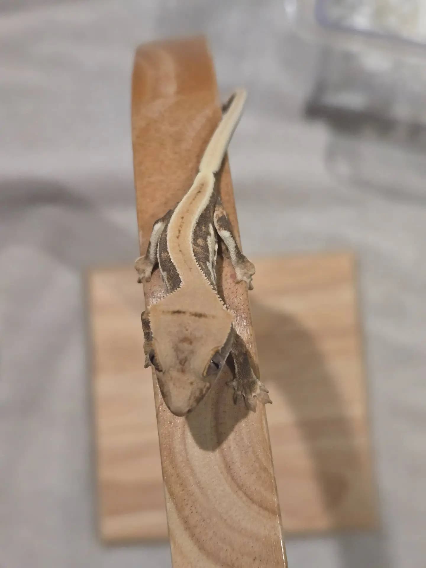 상품 이미지 3