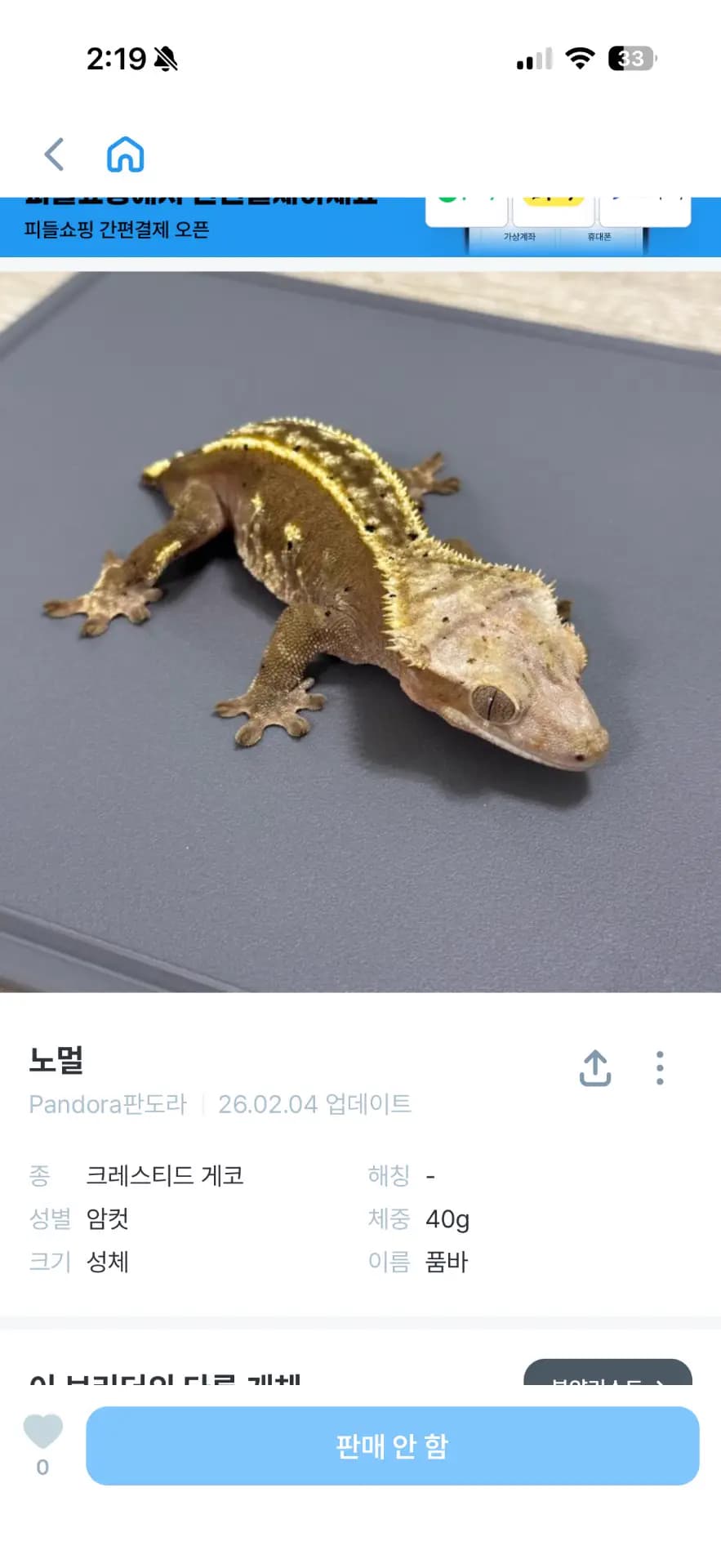 모 개체