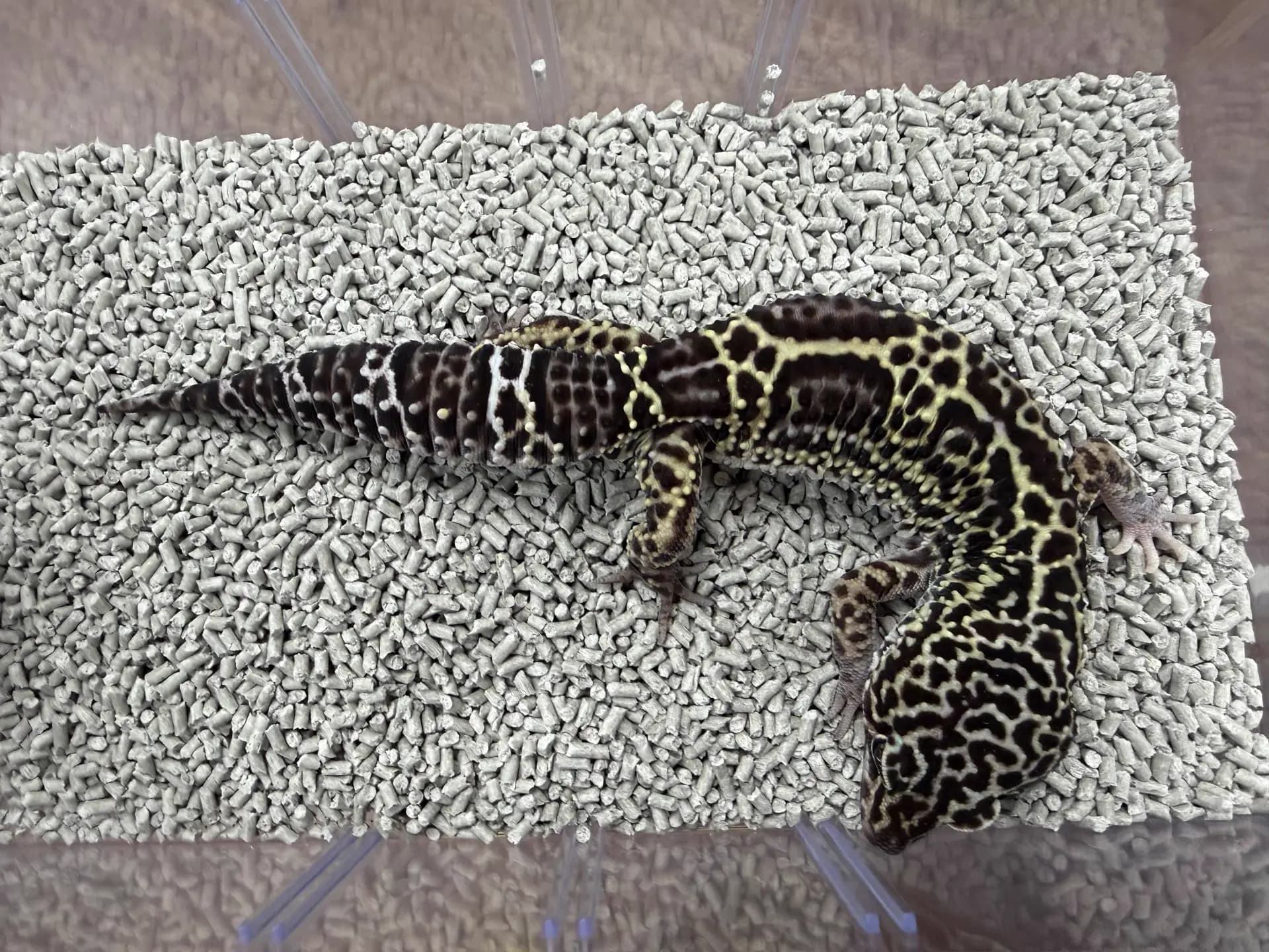 상품 이미지 2