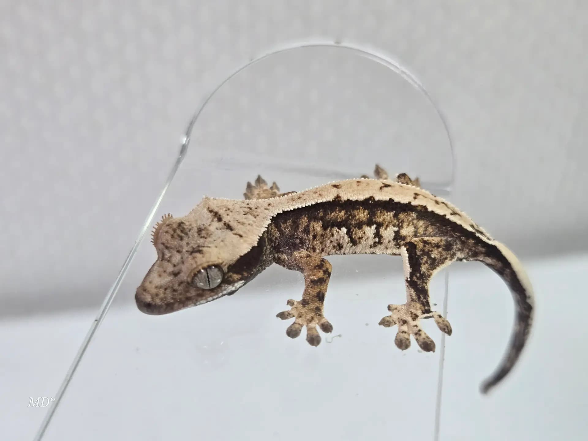 상품 이미지 2