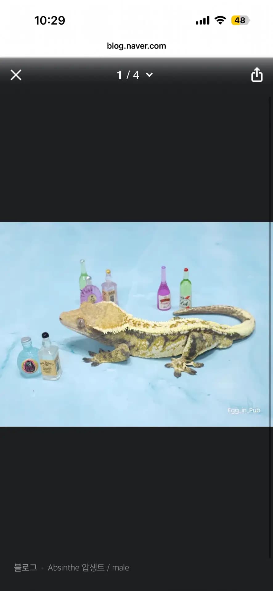부 개체