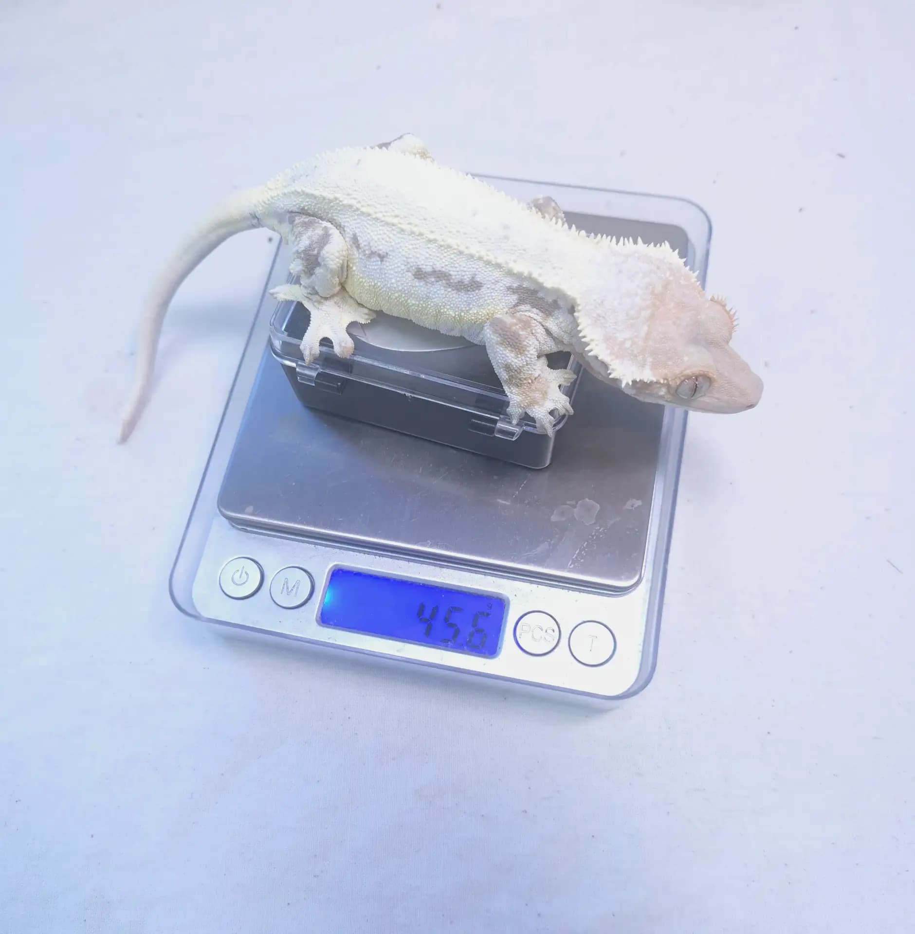 상품 이미지 3