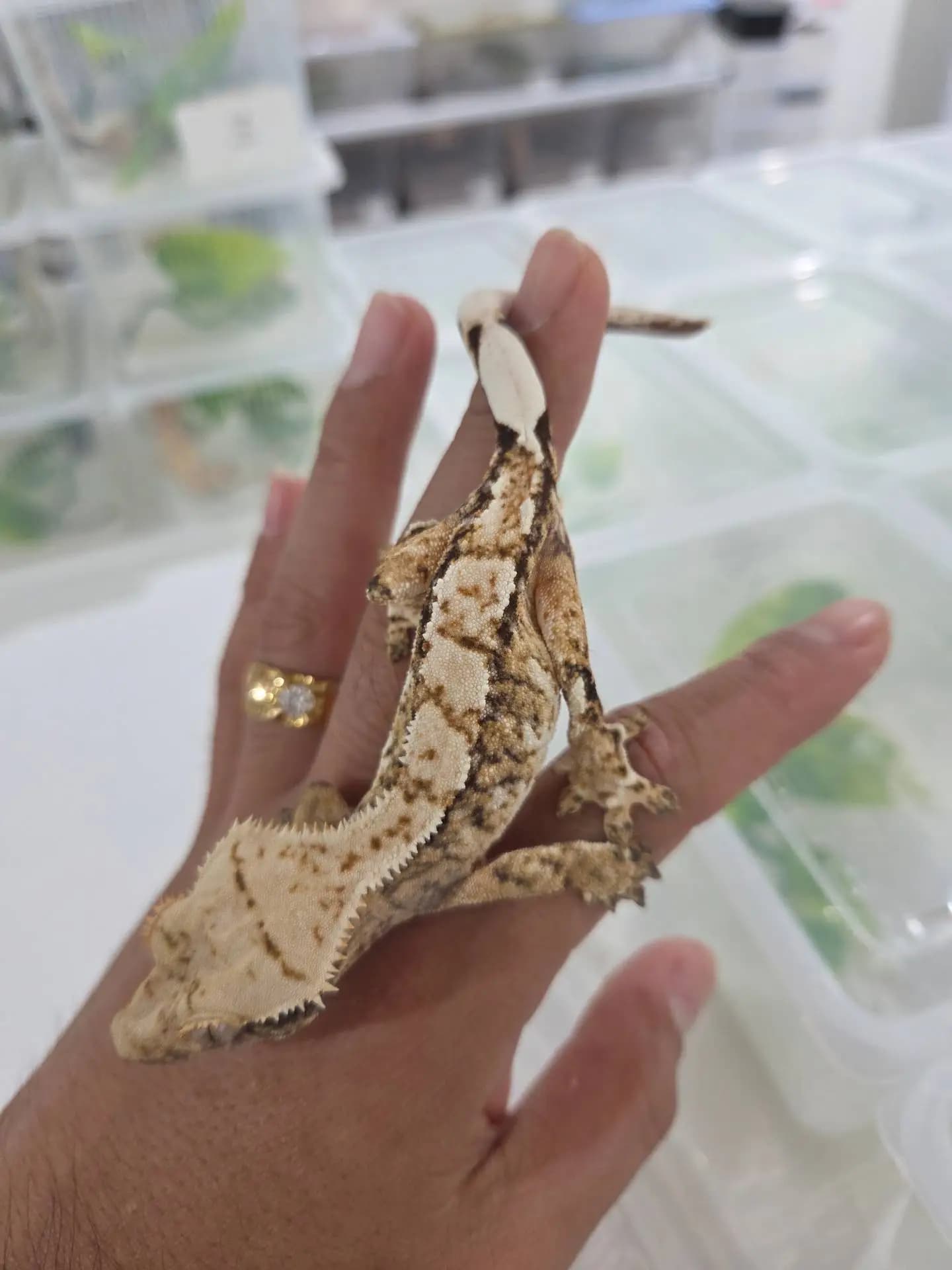 상품 이미지 3
