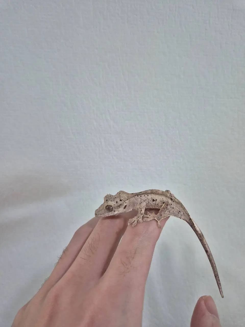 상품 이미지 3