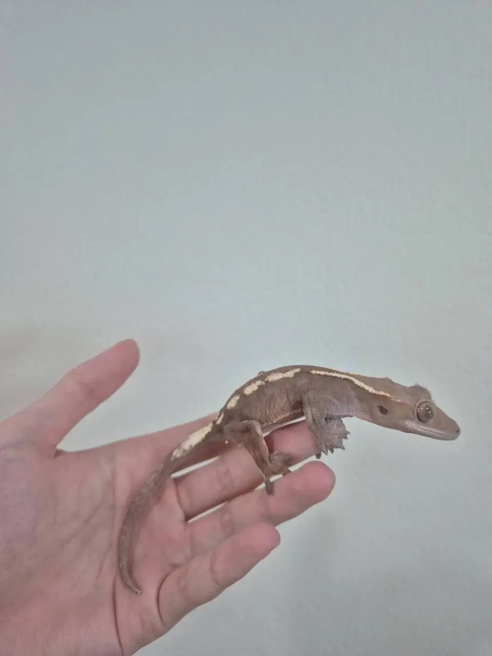 상품 이미지 3