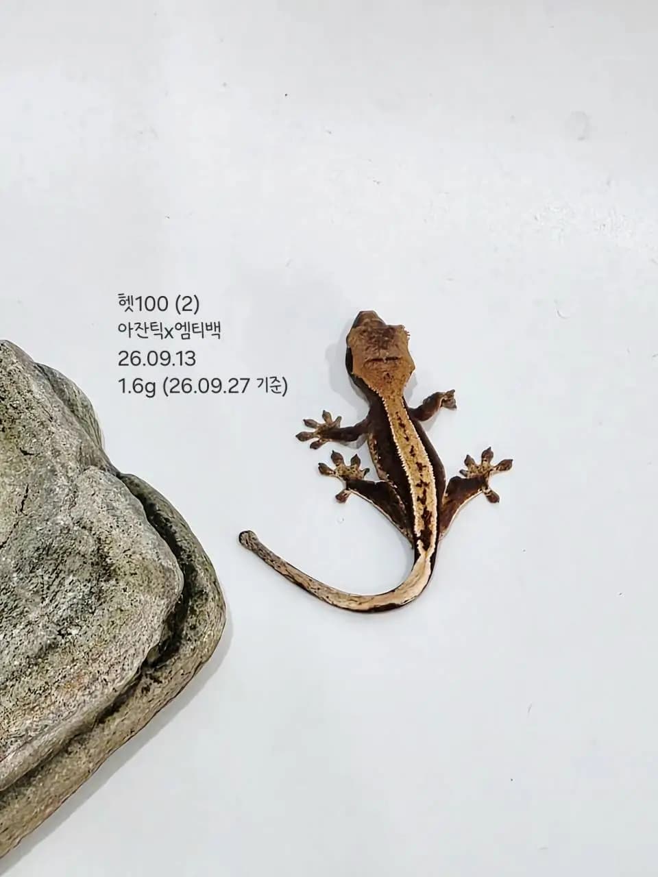 상품 이미지 1