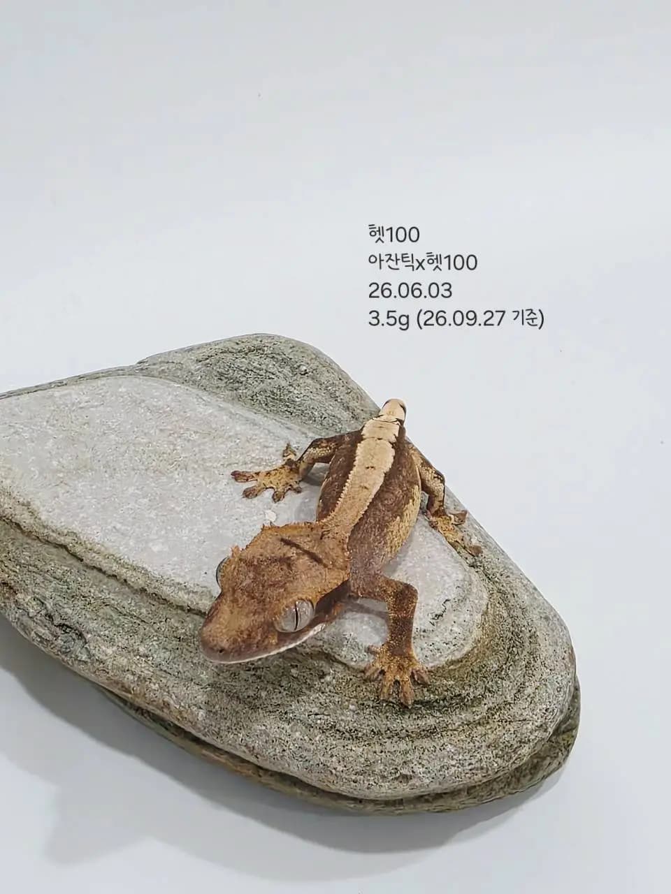 상품 이미지 3