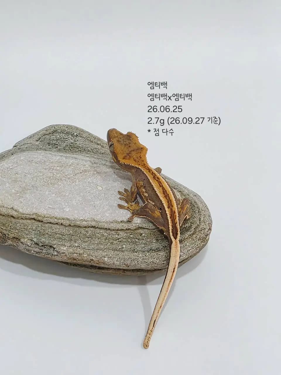상품 이미지 1