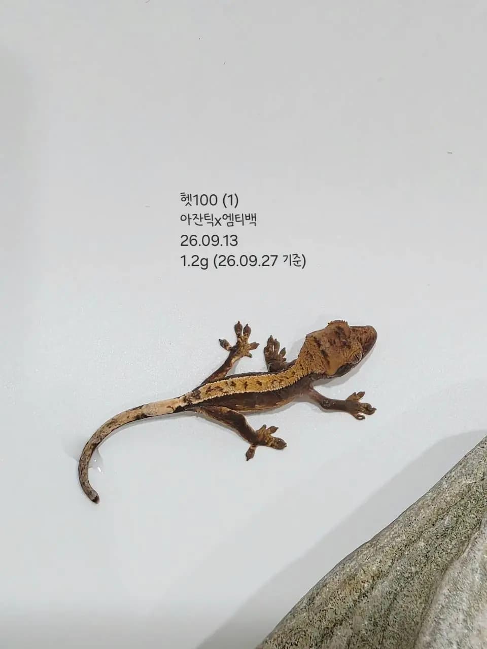 상품 이미지 3