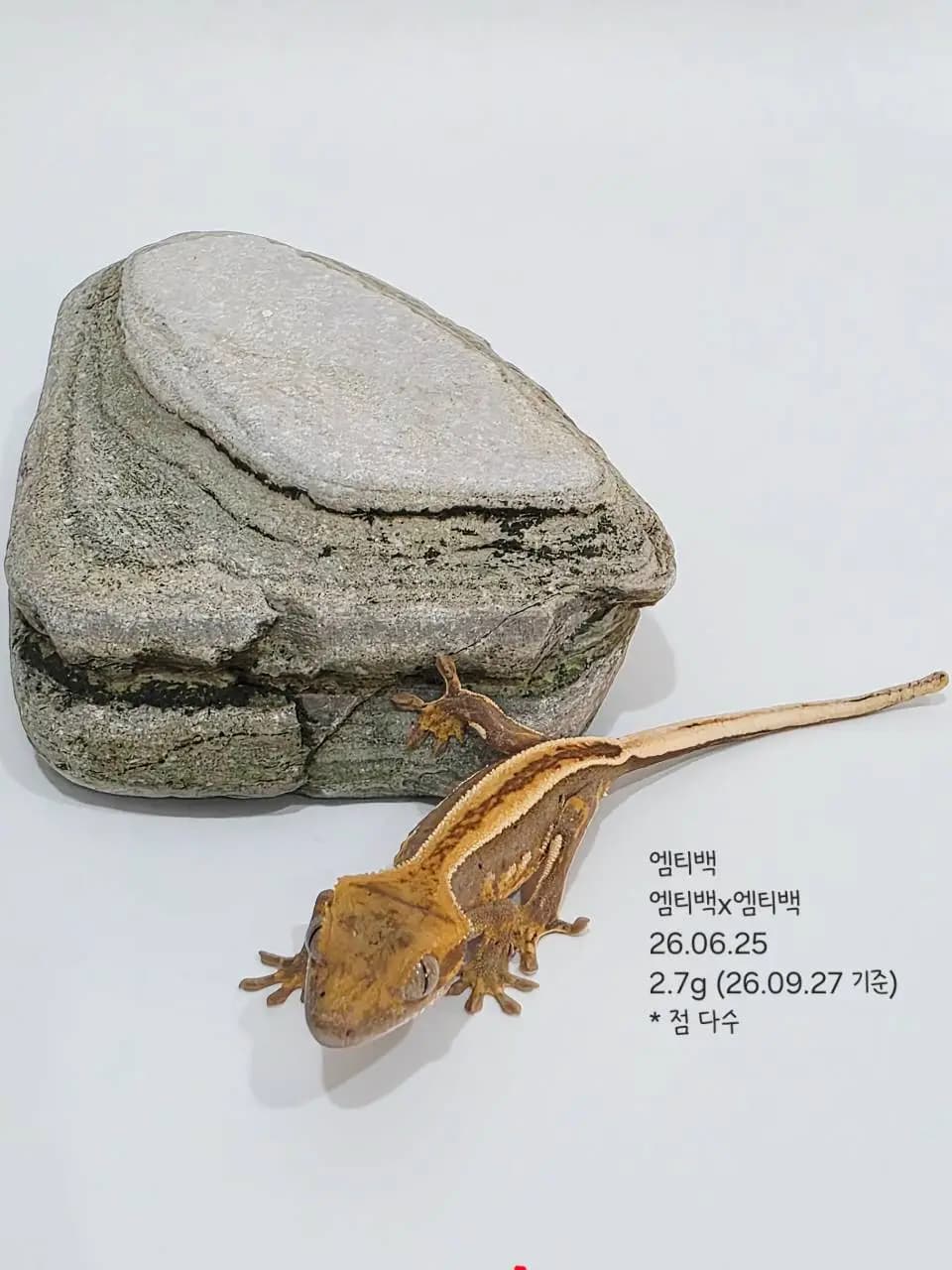 상품 이미지 3
