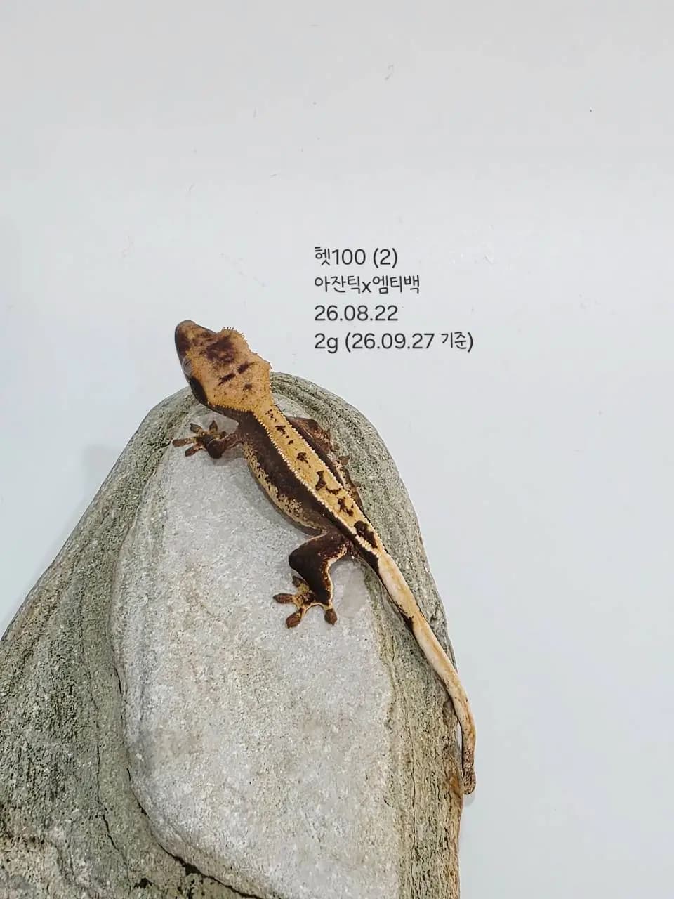 상품 이미지 3