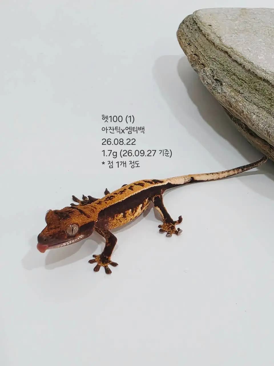 상품 이미지 3